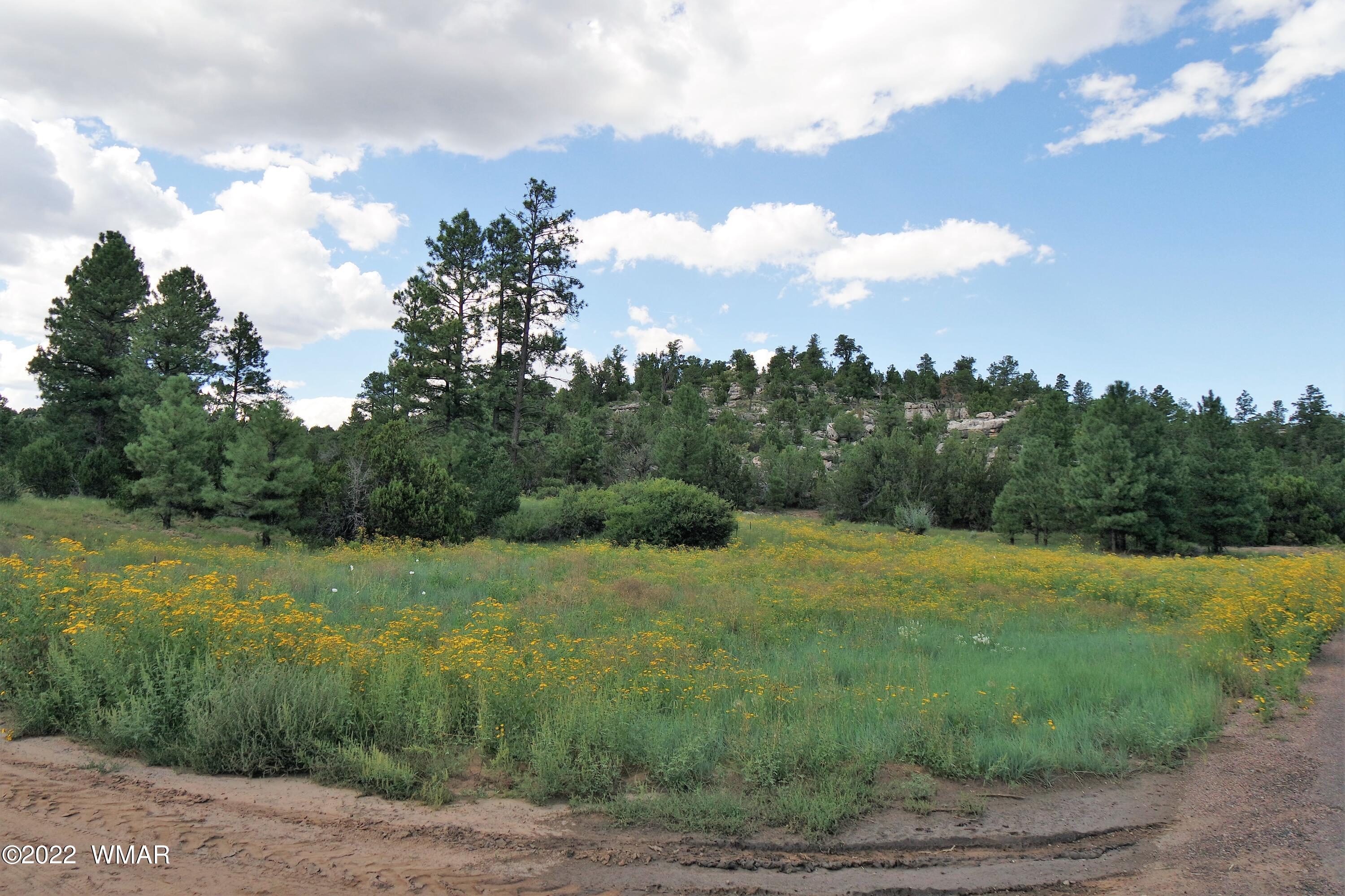 Tbd Black Canyon Road Heber, AZ 85928 - Photo 14 of 14