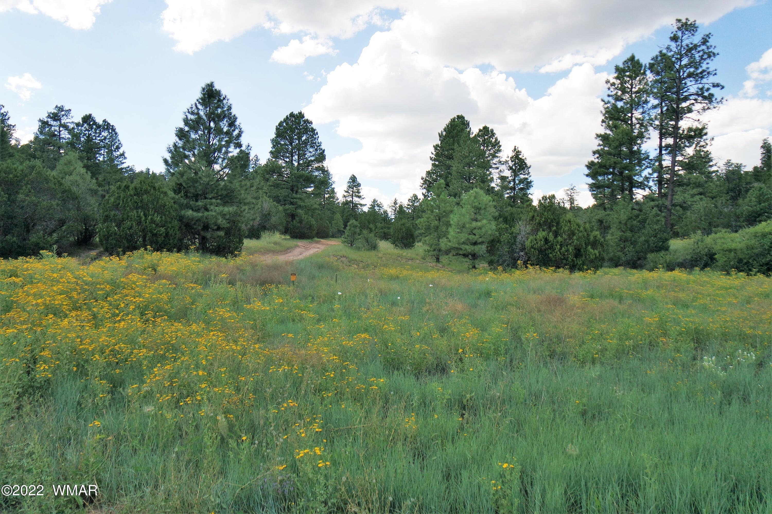 Tbd Black Canyon Road Heber, AZ 85928 - Photo 2 of 14