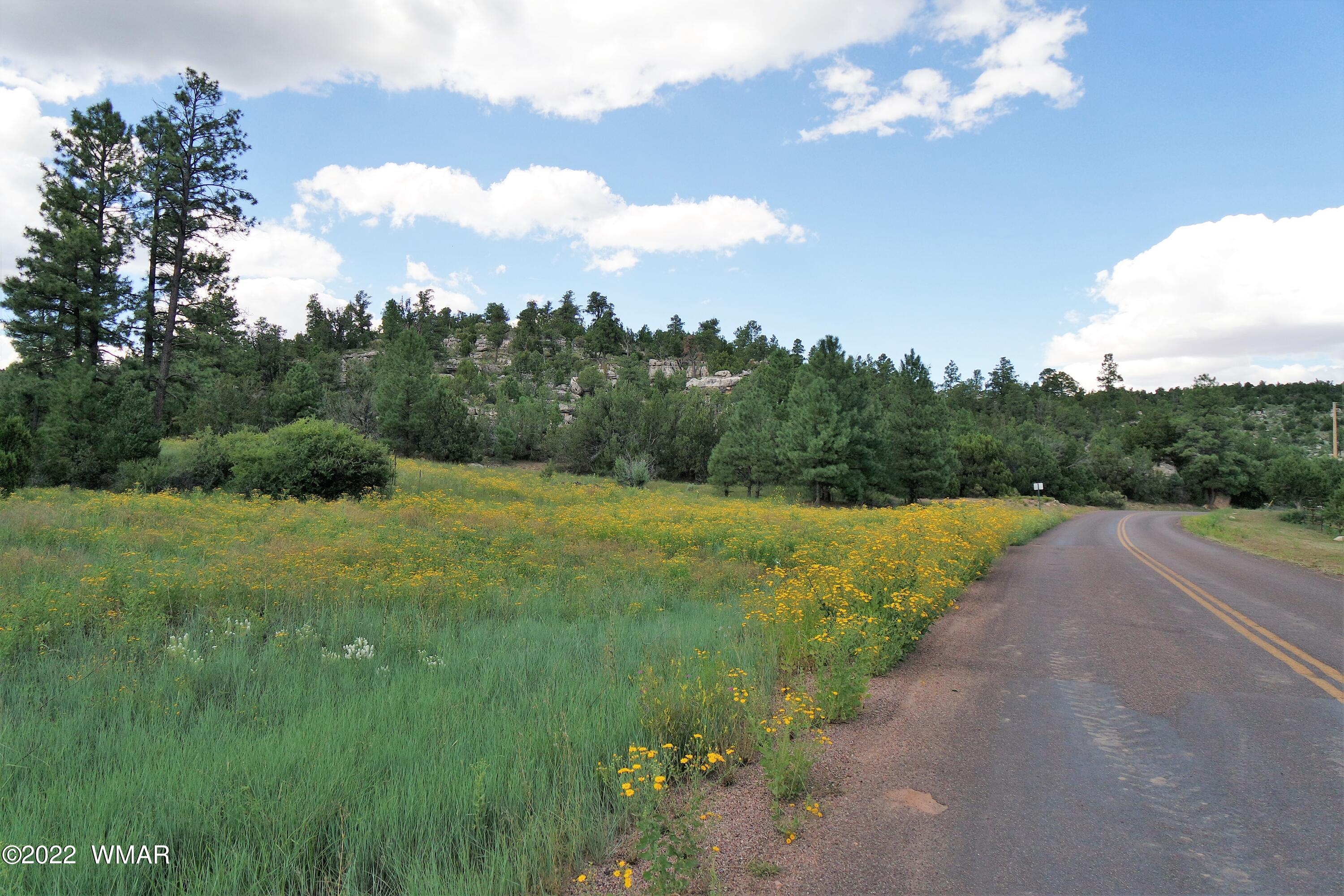 Tbd Black Canyon Road Heber, AZ 85928 - Photo 3 of 14