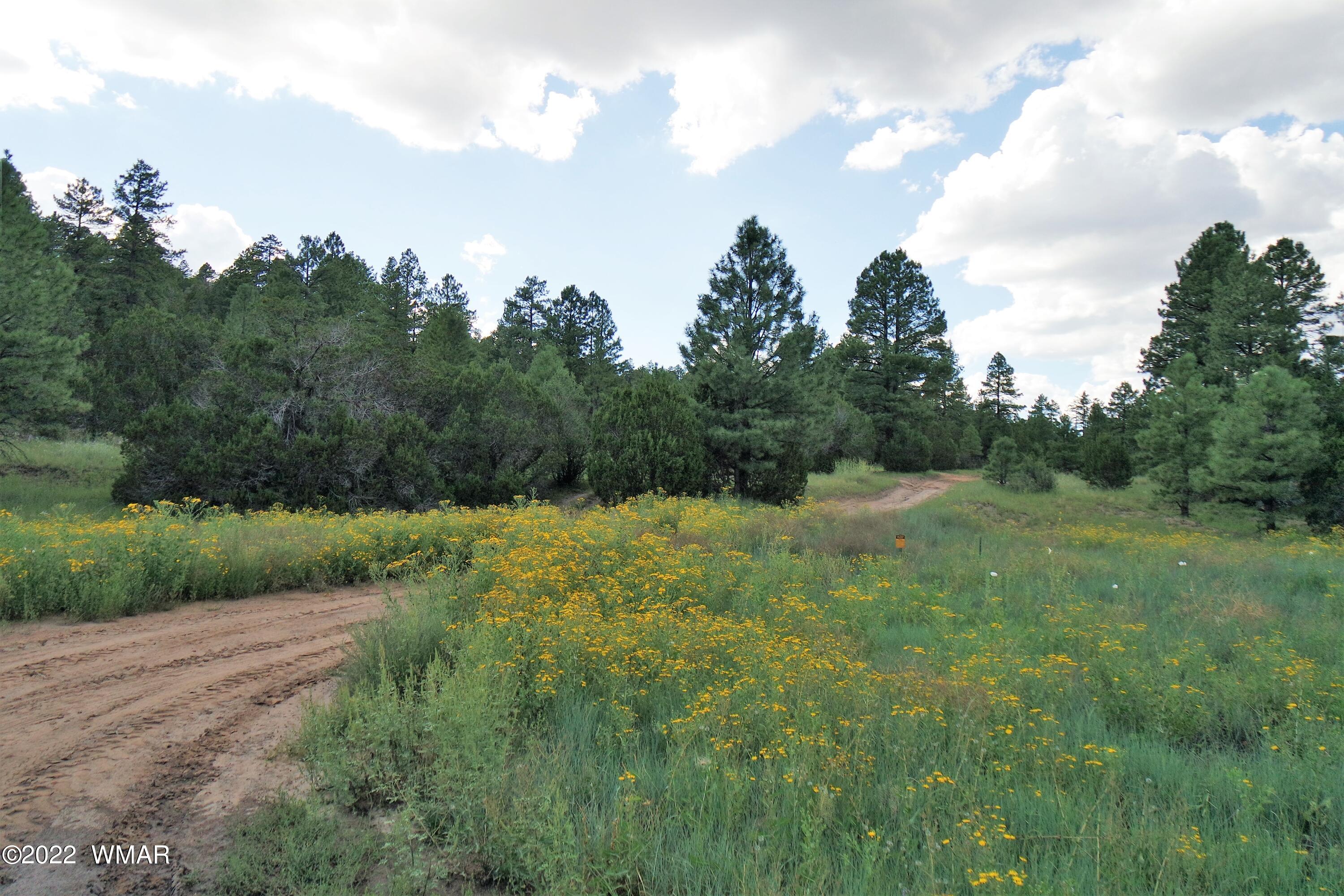 Tbd Black Canyon Road Heber, AZ 85928 - Photo 4 of 14