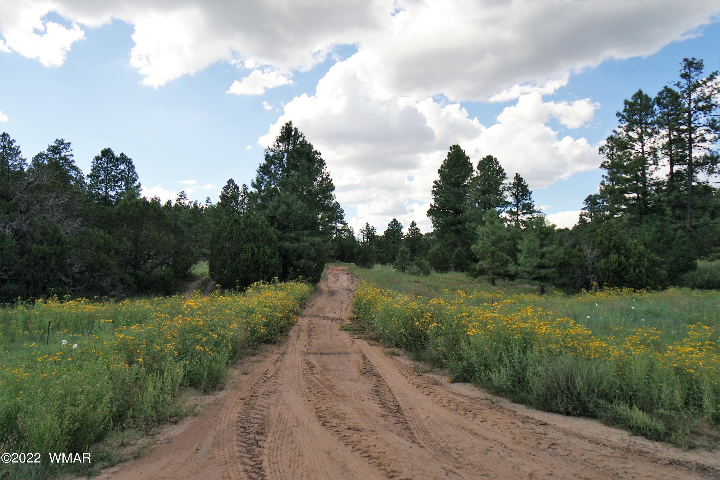 Tbd Black Canyon Road Heber, AZ 85928 - Photo 5 of 14