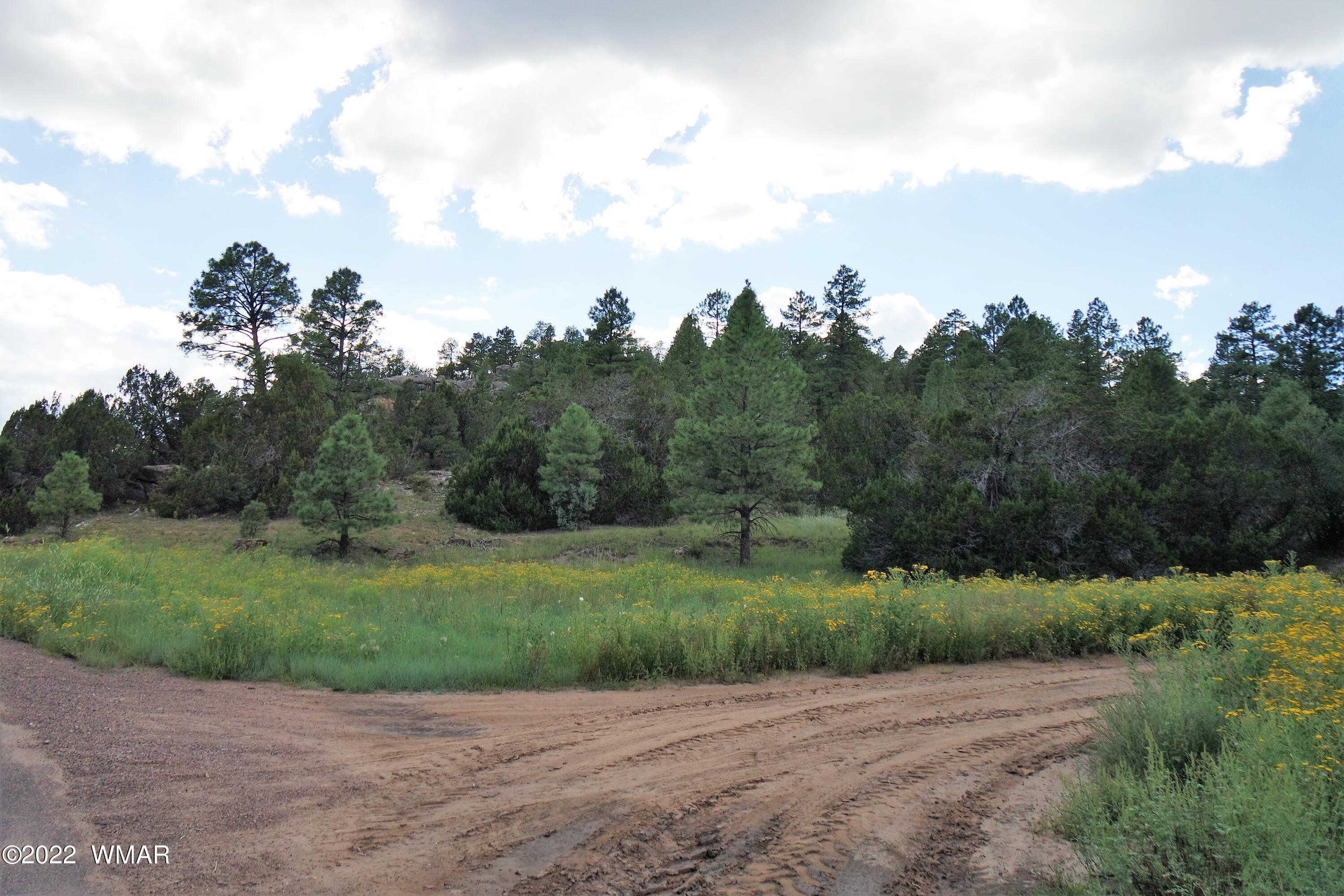 Tbd Black Canyon Road Heber, AZ 85928 - Photo 6 of 14