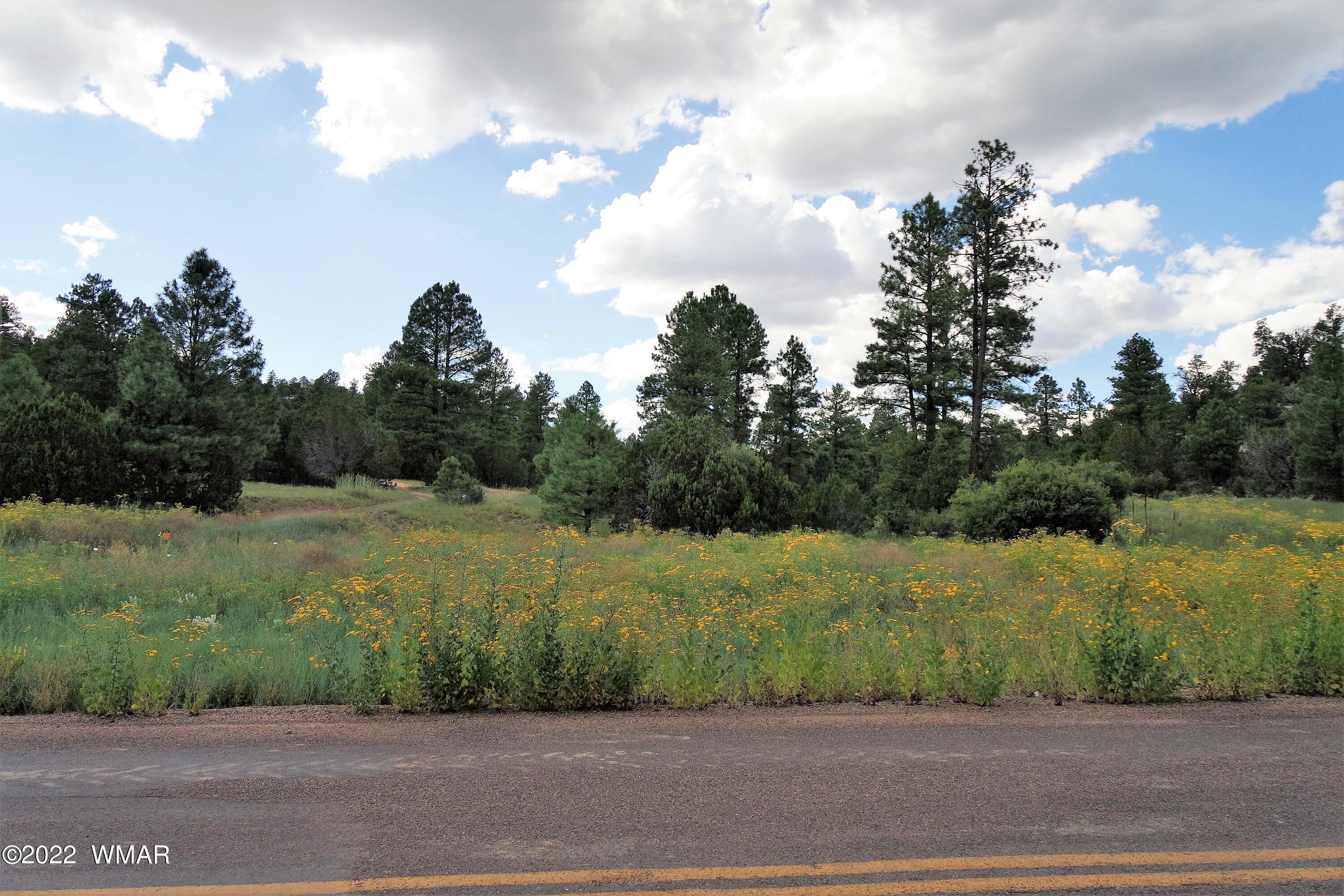 Tbd Black Canyon Road Heber, AZ 85928 - Photo 7 of 14