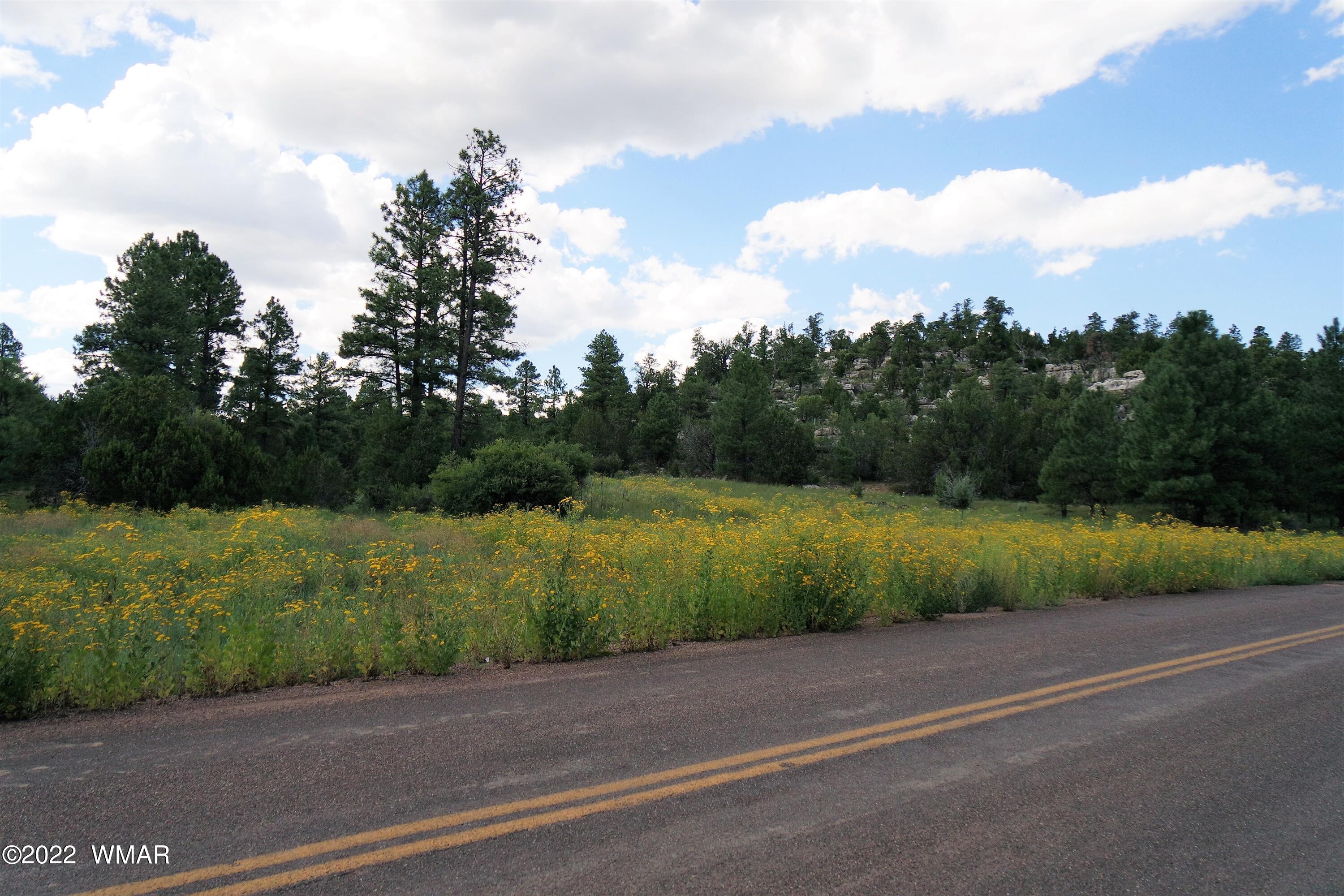 Tbd Black Canyon Road Heber, AZ 85928 - Photo 8 of 14