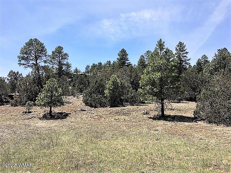 Tbd Black Canyon Road Heber, AZ 85928 - Photo 9 of 14