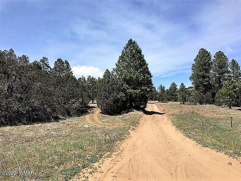 Tbd Black Canyon Road Heber, AZ 85928 - Photo 10 of 14