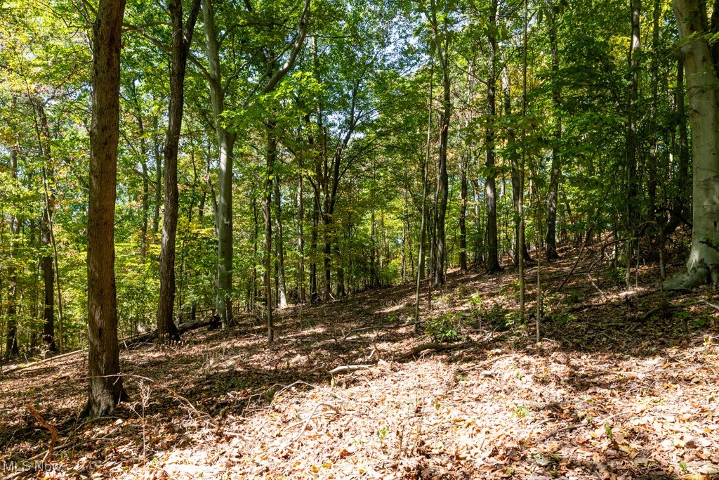 7281 Crowder Road Southwest Sherrodsville, OH 44675 - Photo 35 of 36 View of local wilderness
