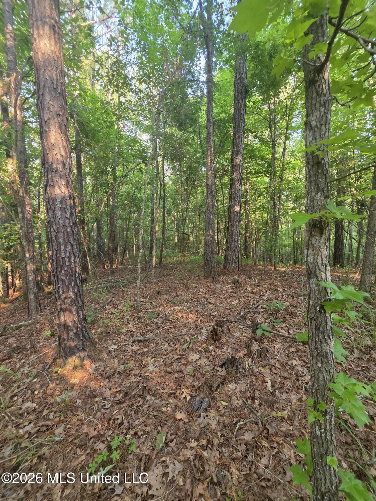 Enterprise Road Roxie, MS 39661 - Photo 18 of 36 33191