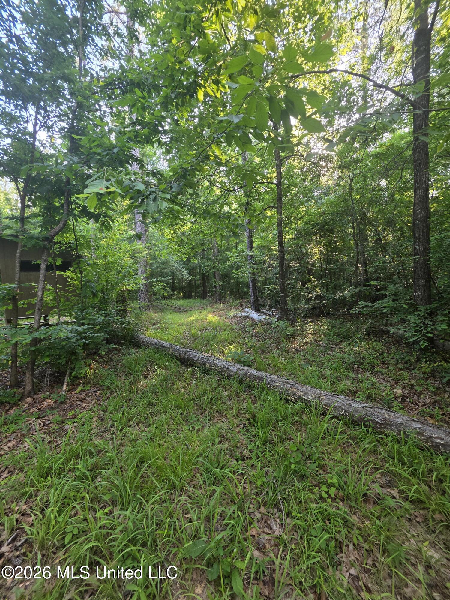 Enterprise Road Roxie, MS 39661 - Photo 23 of 36 33181