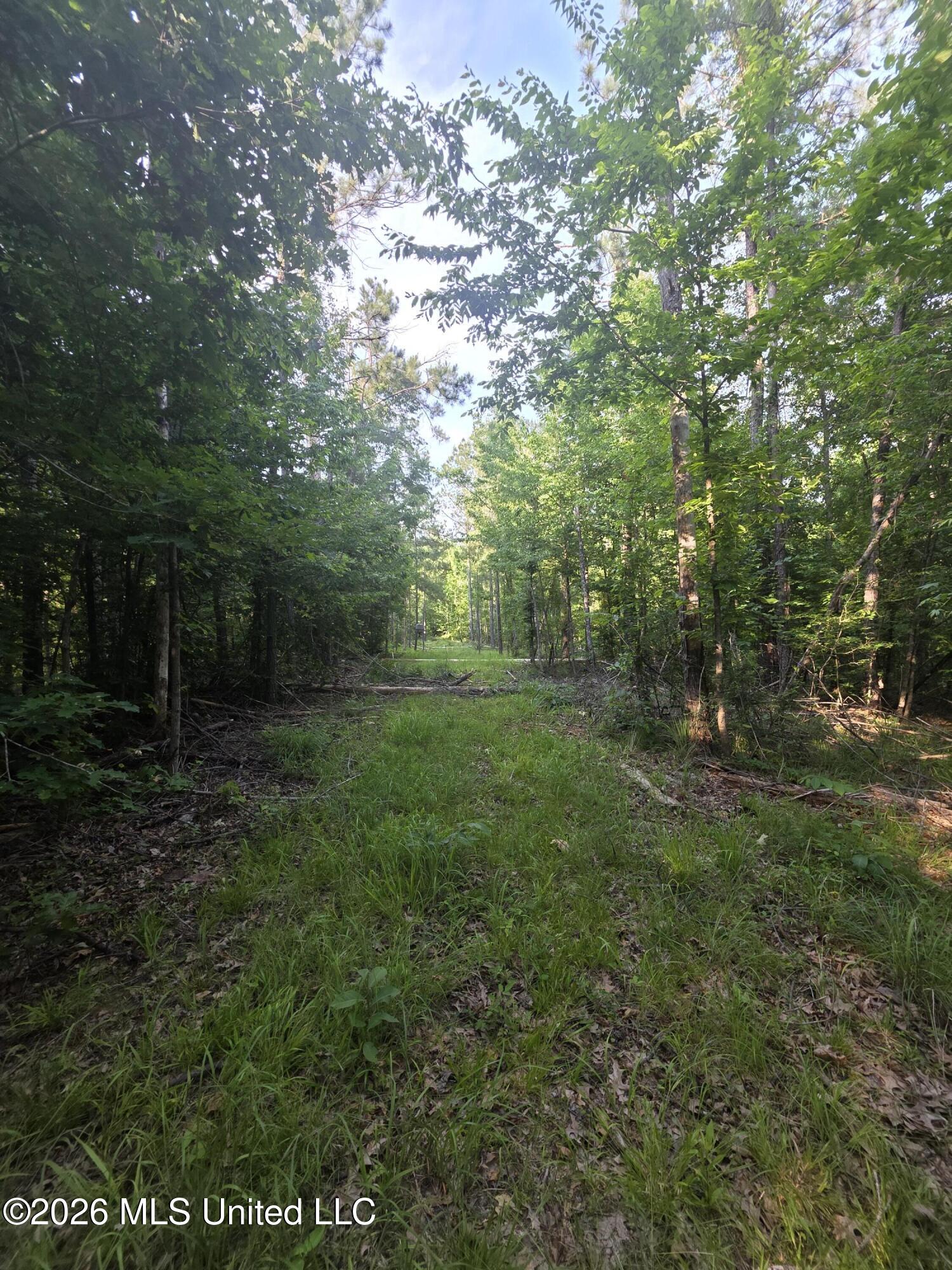 Enterprise Road Roxie, MS 39661 - Photo 24 of 36 33179