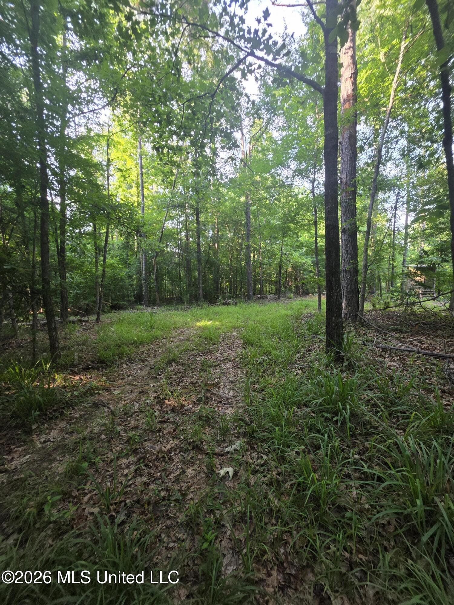 Enterprise Road Roxie, MS 39661 - Photo 29 of 36 33169