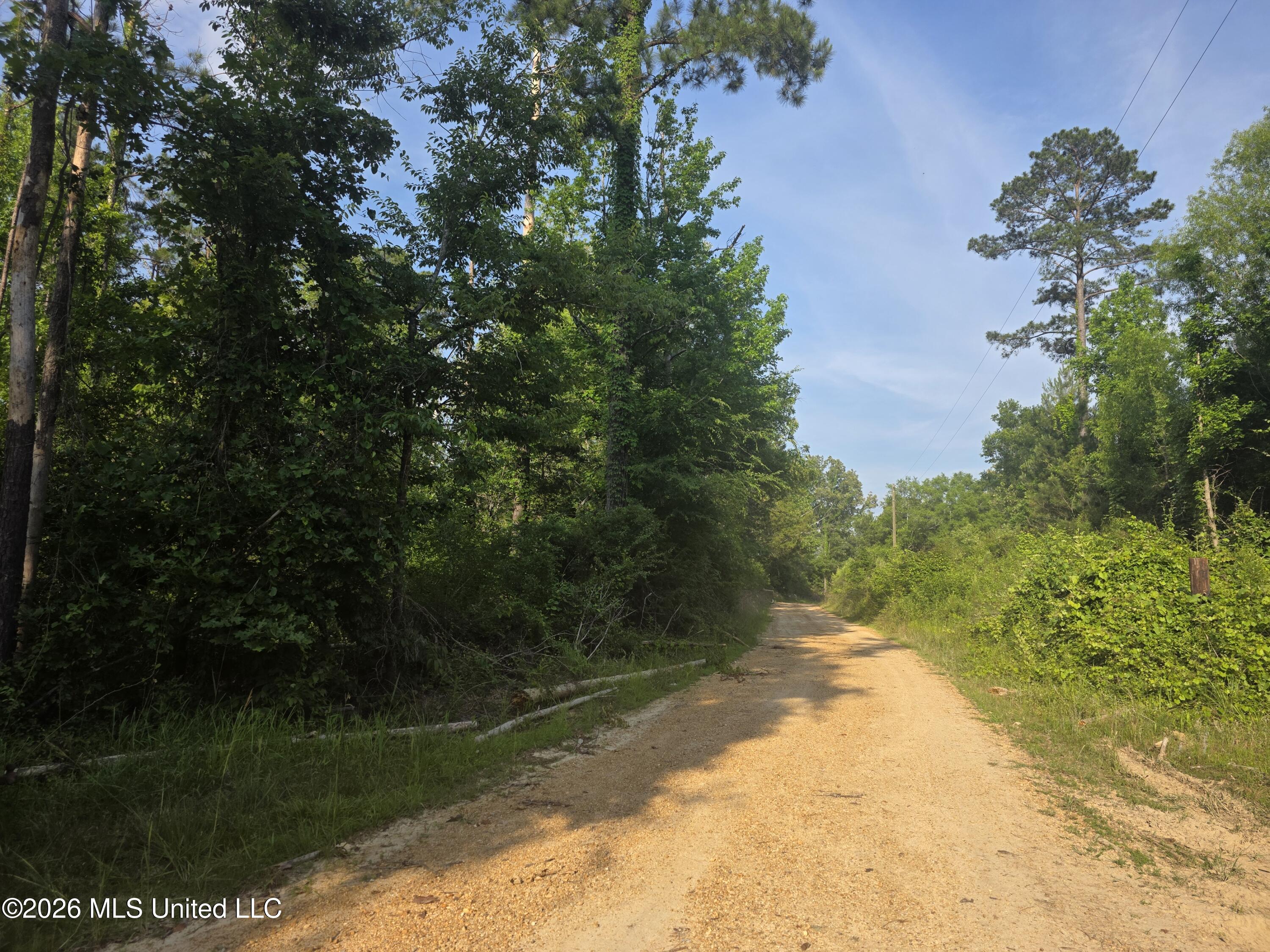 Enterprise Road Roxie, MS 39661 - Photo 3 of 36 33158
