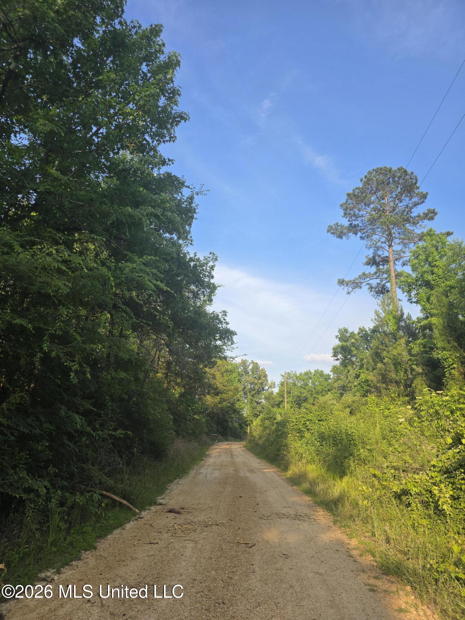 Enterprise Road Roxie, MS 39661 - Photo 4 of 36 33223