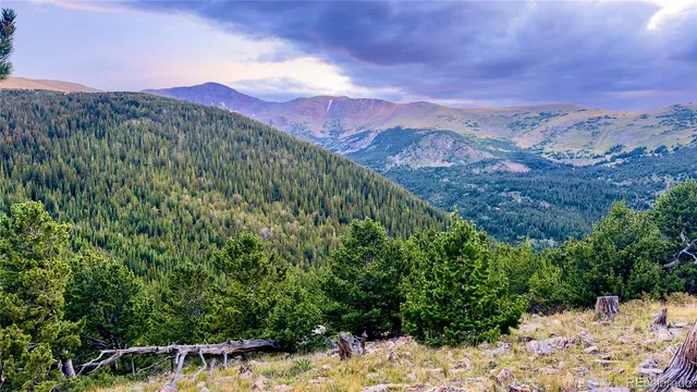 a view of a yard with a mountain