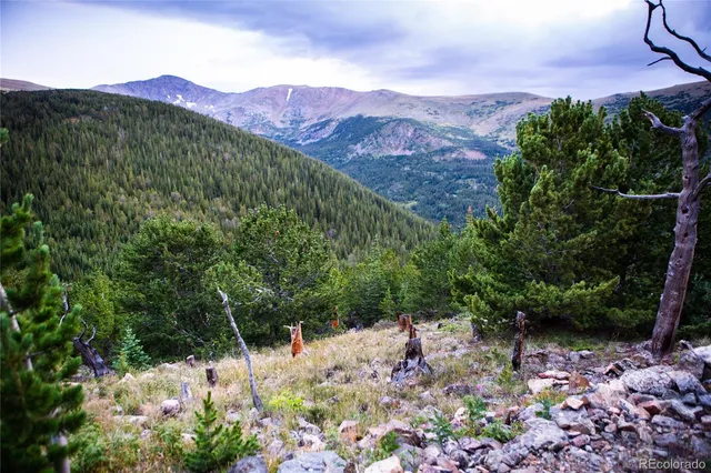 a view of a lush green hillside and a building