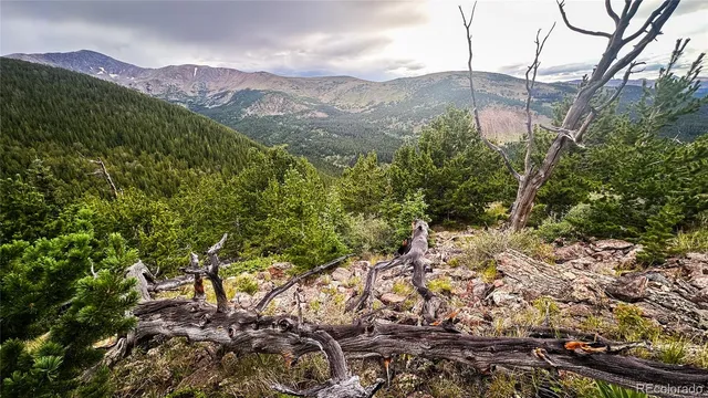 a view of a lot of trees and mountains