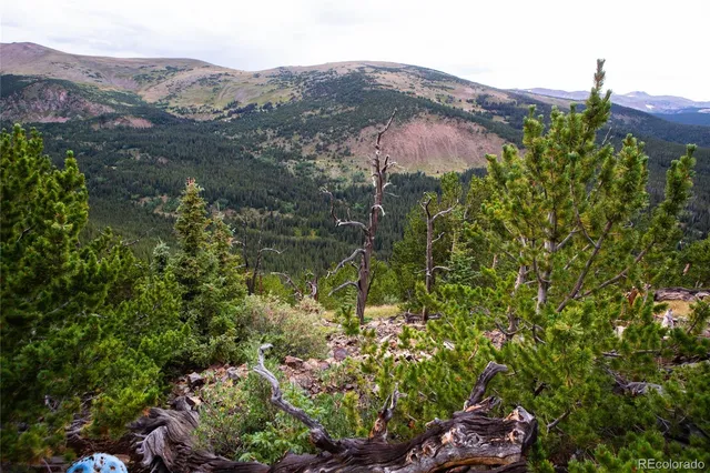 a view of a city with mountains in the background