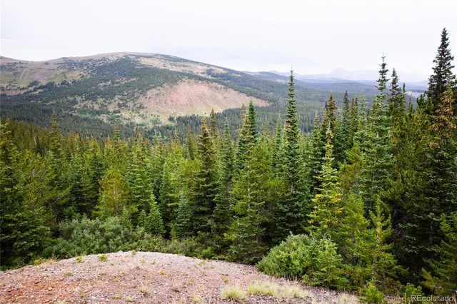 a view of a mountain in the distance in a field