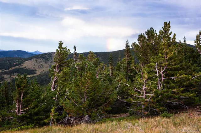 a view of a mountain range with lush green forest