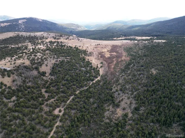 an aerial view of mountain with trees