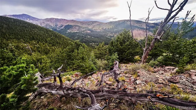 a view of a lush green field with mountains in the background