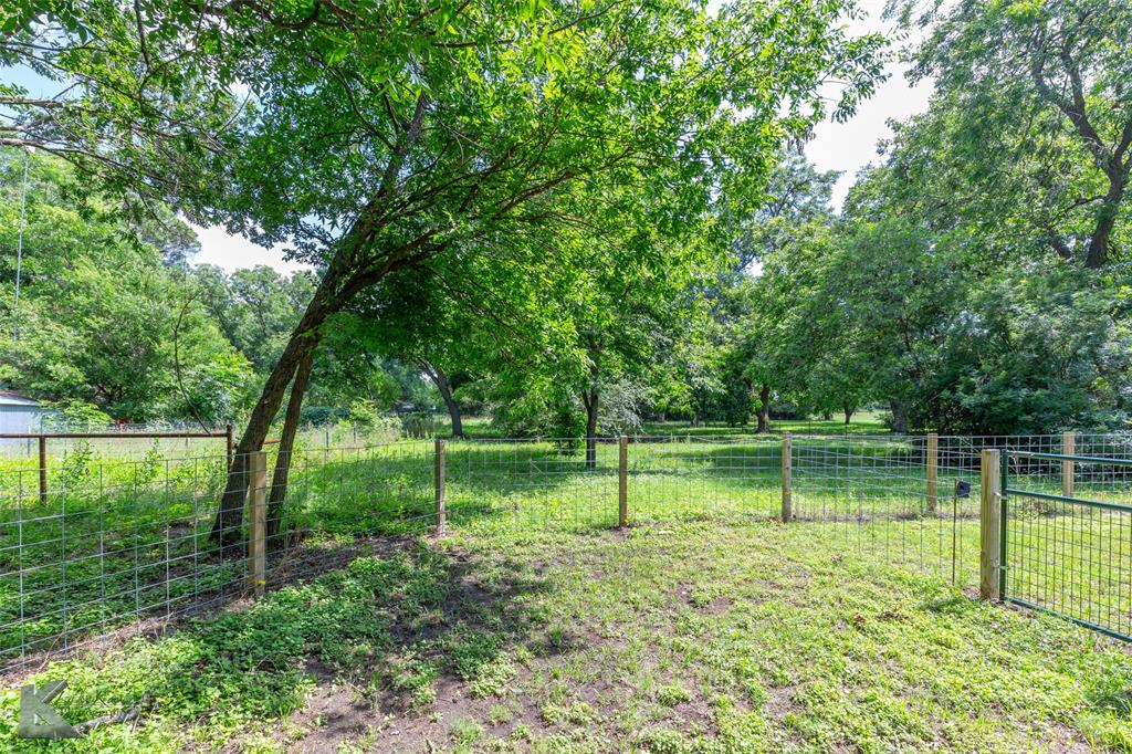 202 East Ross Street Rising Star, TX 76471 - Photo 39 of 40 a view of a park with a tree