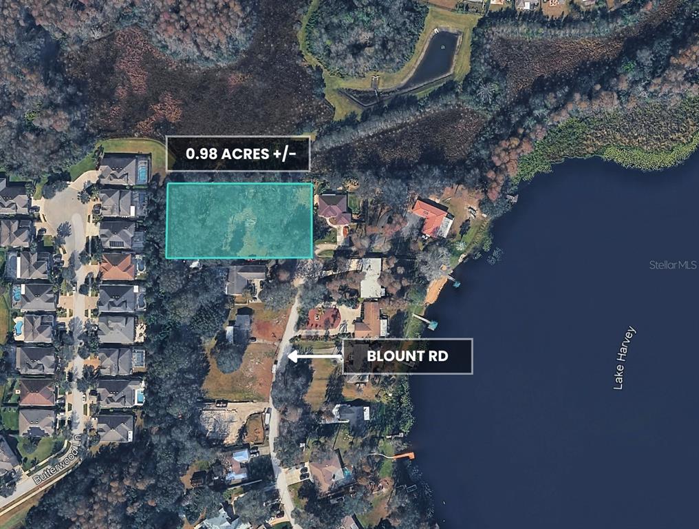 Blount Road Lutz, FL 33558 - Photo 18 of 33 a view of entryway