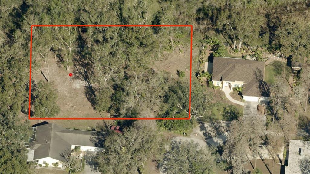 Blount Road Lutz, FL 33558 - Photo 30 of 33 a view of a yard with a small yard