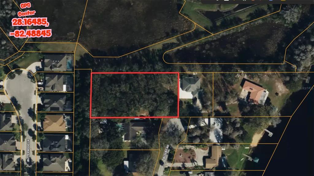 Blount Road Lutz, FL 33558 - Photo 7 of 33