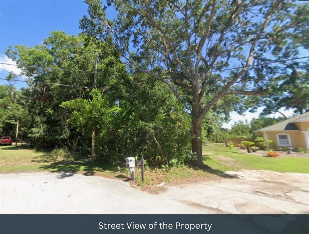 Blount Road Lutz, FL 33558 - Photo 10 of 33 a view of a yard with plants and trees