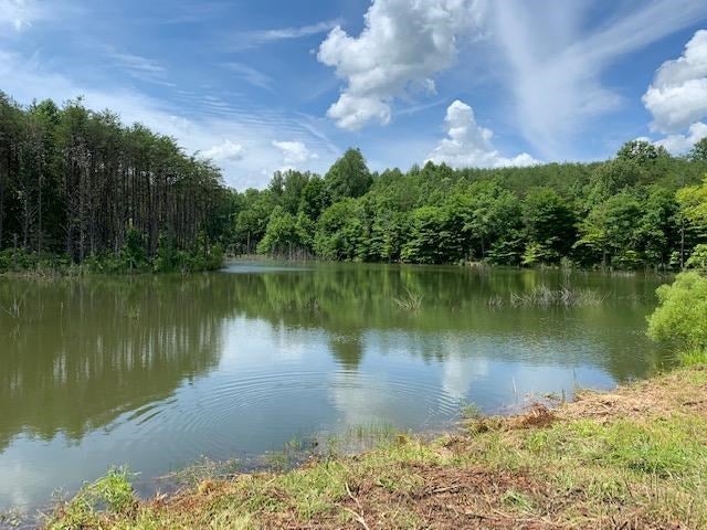 Ford Road Concord, VA 24538 - Photo 2 of 15 Gallery Image 2