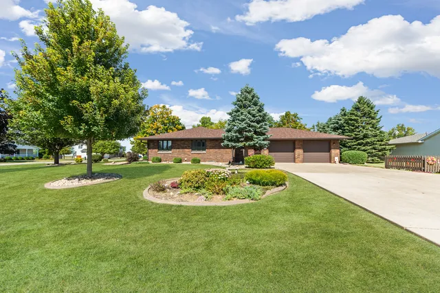 a garden with palm trees