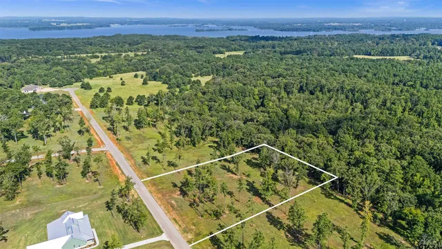 a view of a lush green forest with a lake