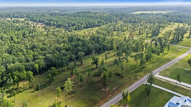 a view of a bunch of trees and bushes