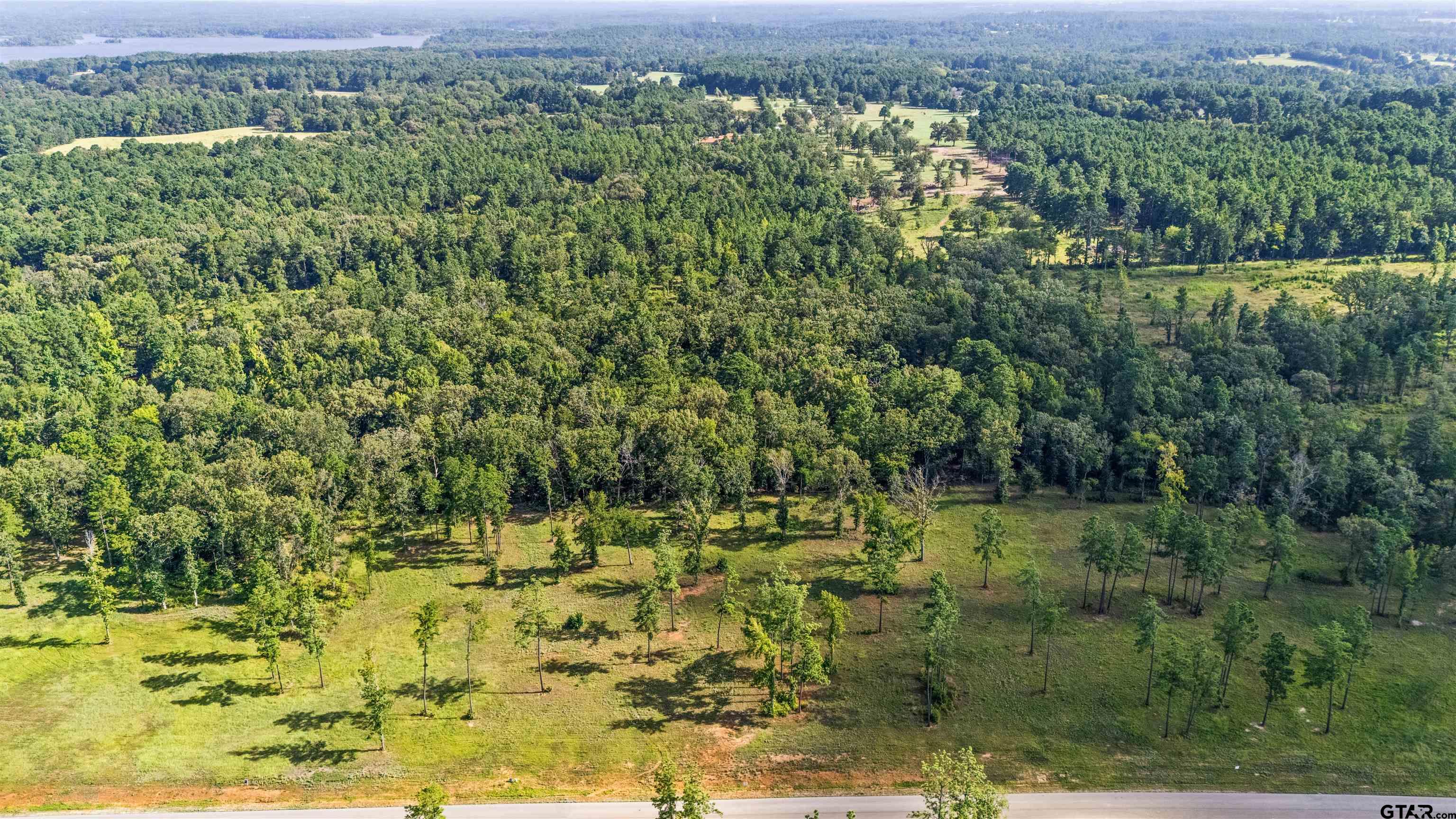 15810 Aniston Lane Flint, TX 75762 - Photo 3 of 8 a view of a bunch of trees and bushes