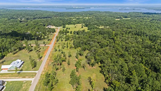 a view of a city with lush green forest