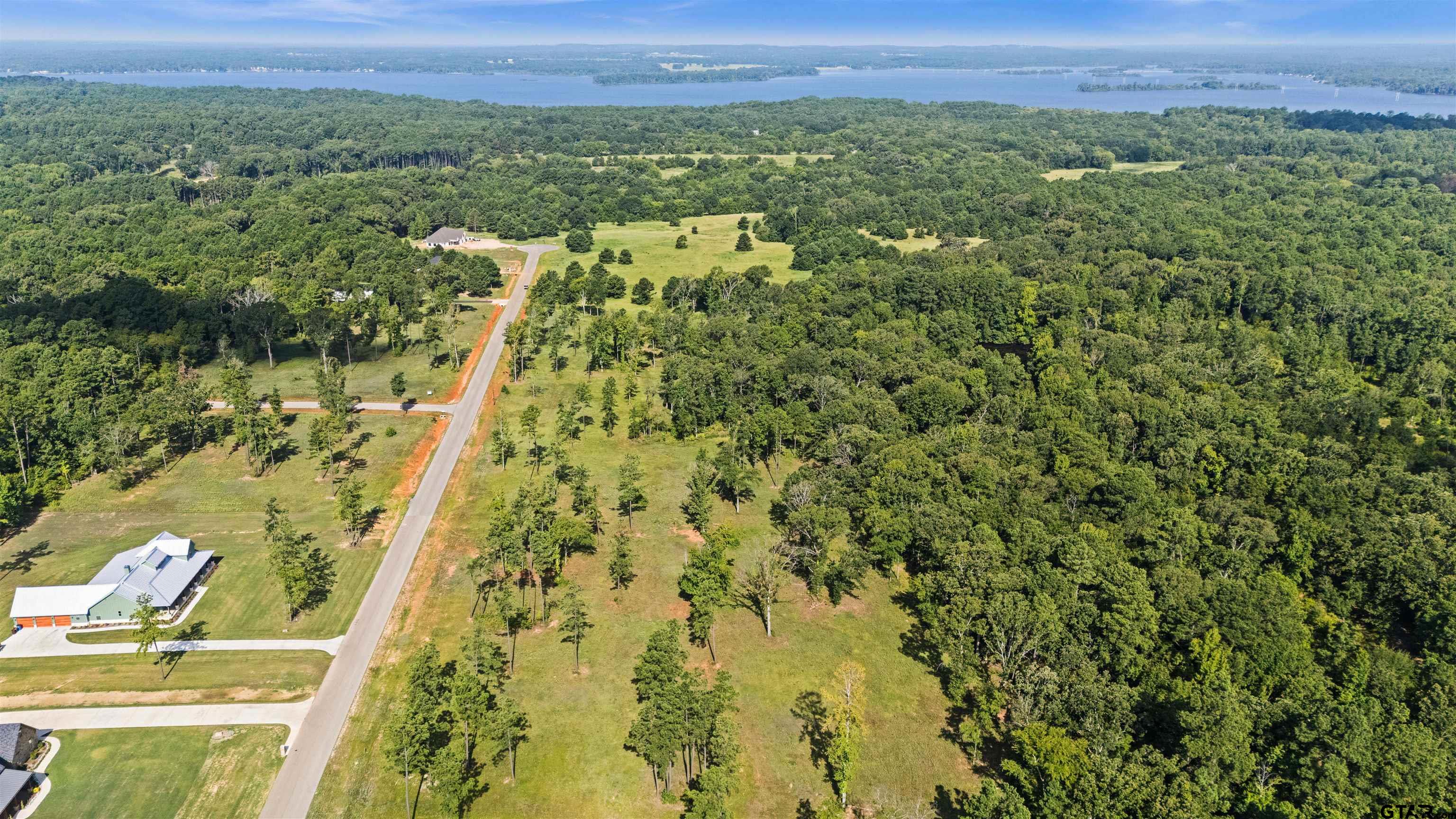 15810 Aniston Lane Flint, TX 75762 - Photo 4 of 8 a view of a city