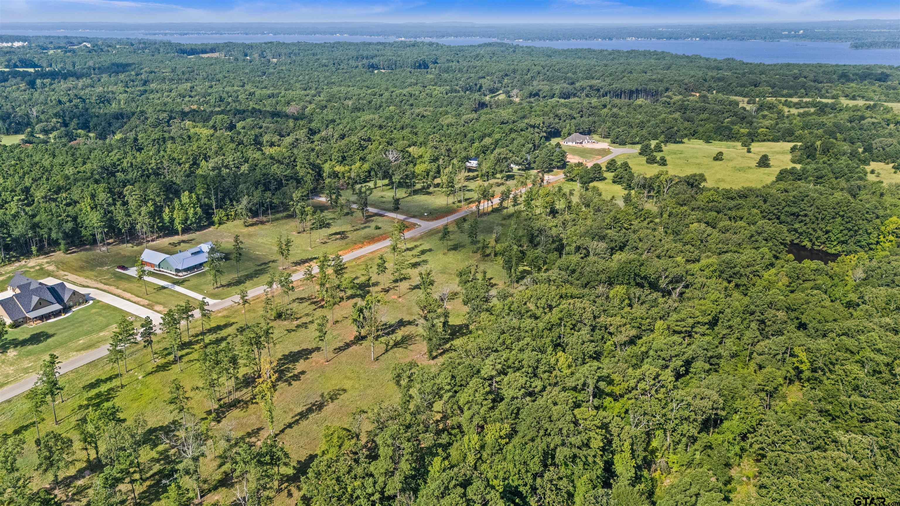 15810 Aniston Lane Flint, TX 75762 - Photo 5 of 8 a view of a city with lush green forest