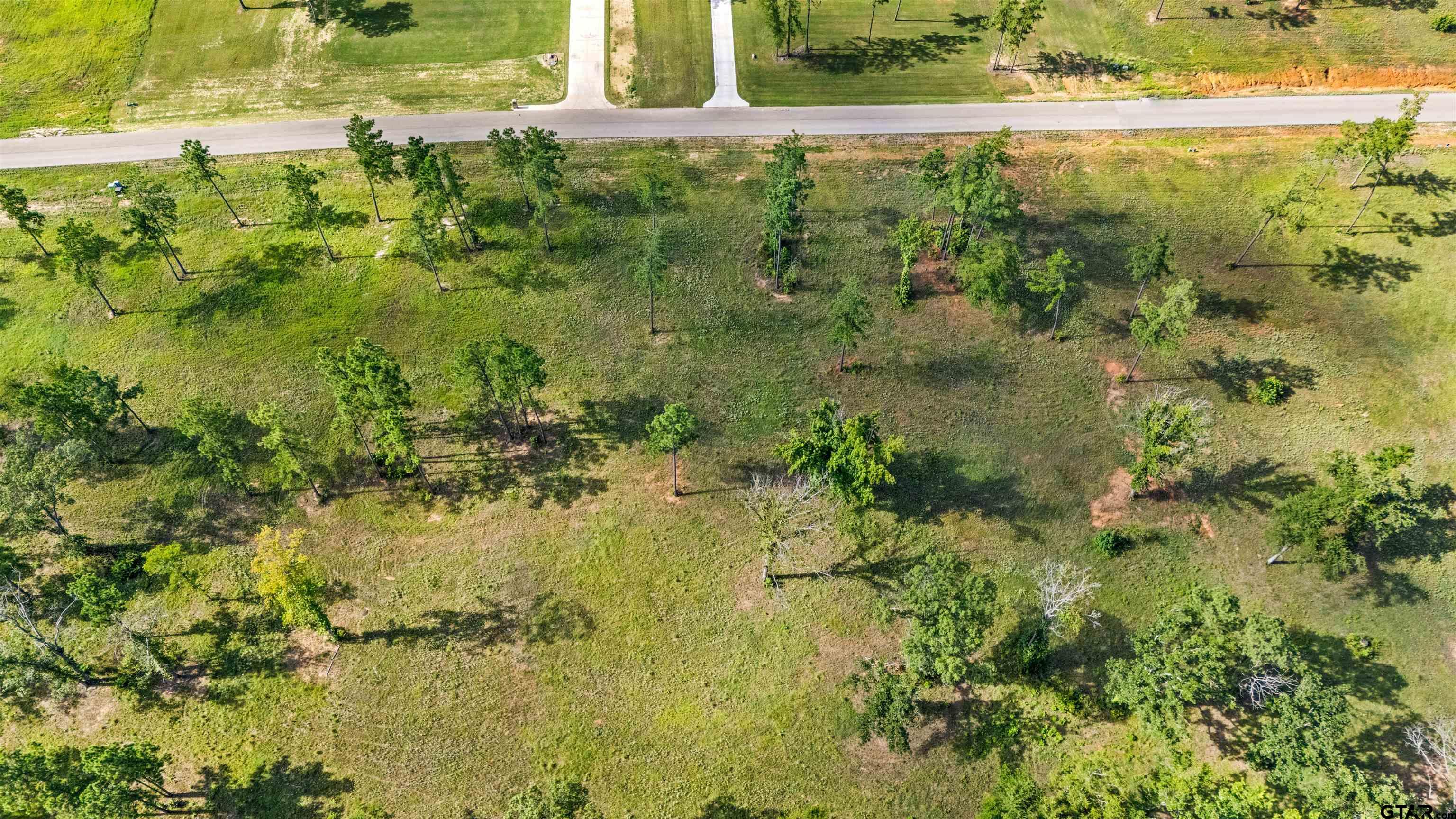 15810 Aniston Lane Flint, TX 75762 - Photo 6 of 8 a view of a lake view with table and chairs