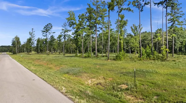 a view of a park with a tree