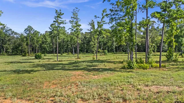 $230,000 | 15810 Aniston Lane, Flint, TX 75762