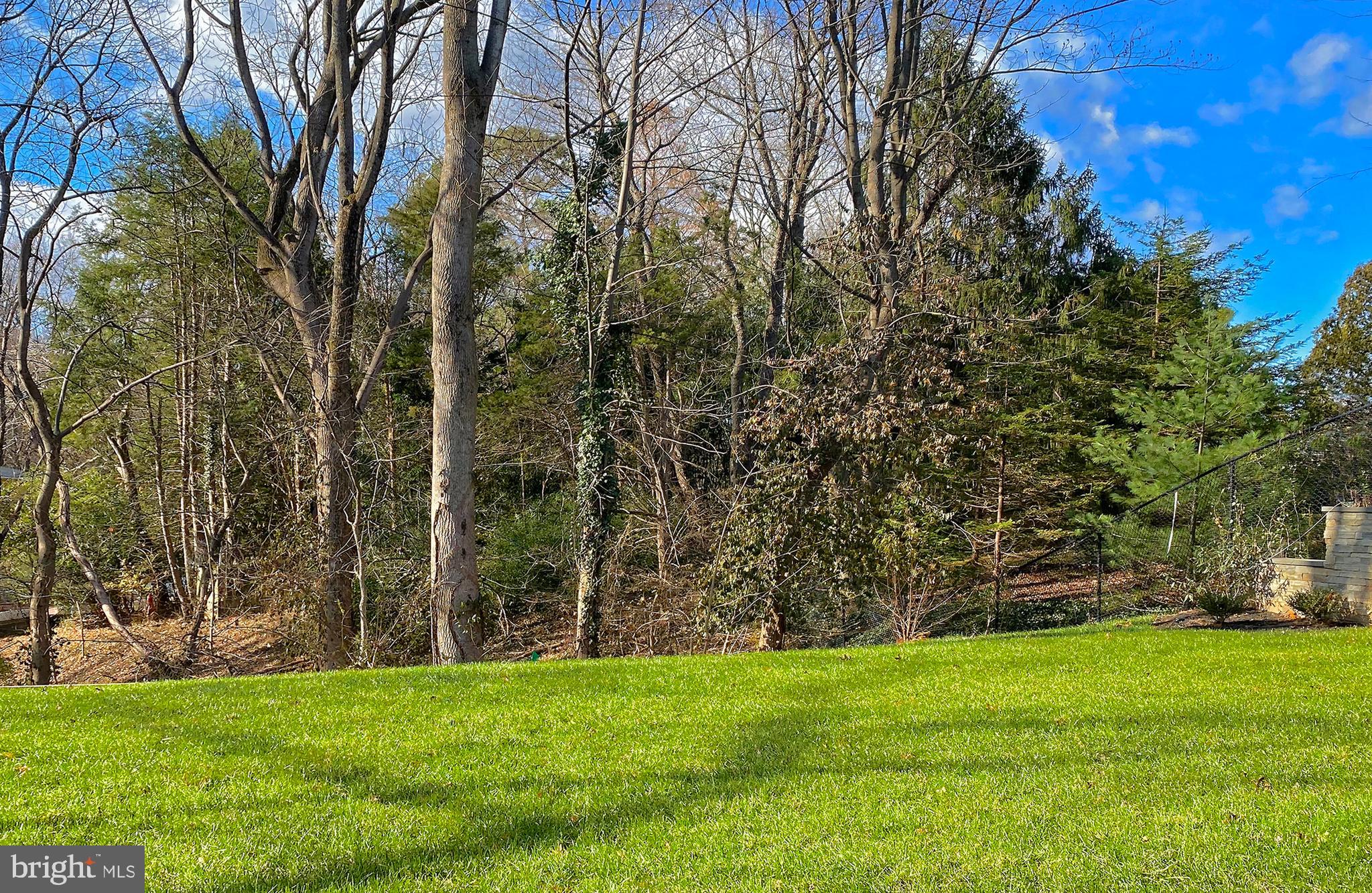 1308 Rockland Terrace McLean, VA 22101 - Photo 61 of 61 Rear Yard in the spring!