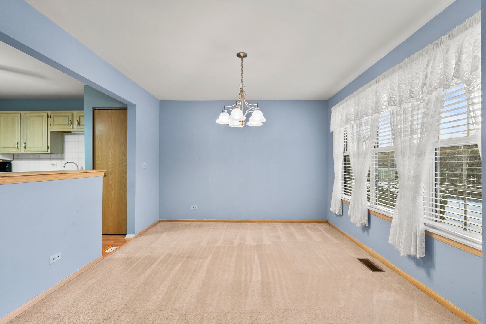 1010 Butternut Lane, Unit B Mount Prospect, IL 60056 - Photo 3 of 24