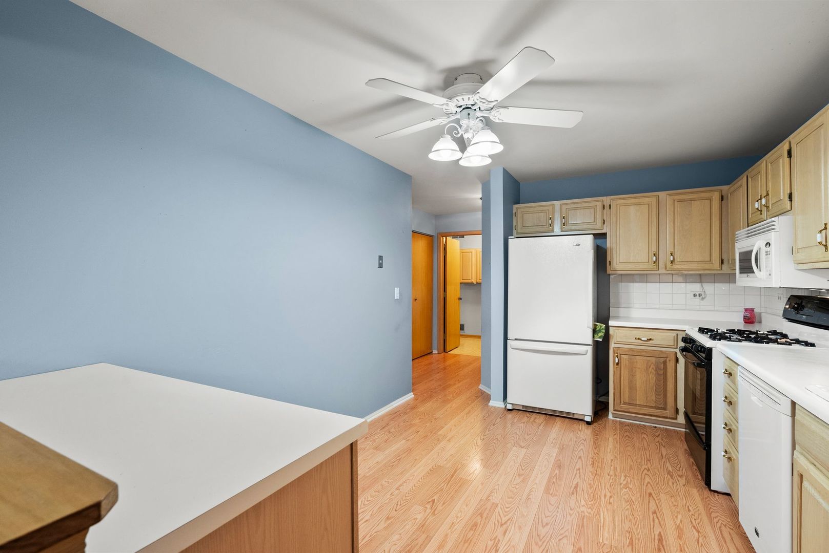 1010 Butternut Lane, Unit B Mount Prospect, IL 60056 - Photo 5 of 24