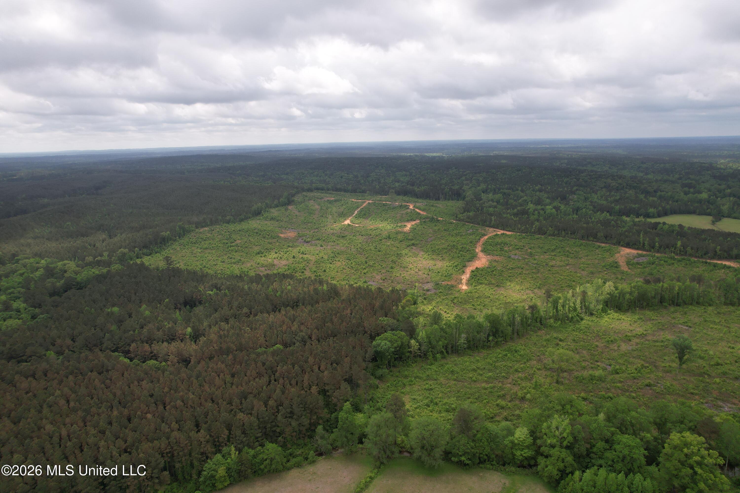 5223 County Road Ethel, MS 39067 - Photo 20 of 22 dji_fly_20260424_111616_108_177704767885