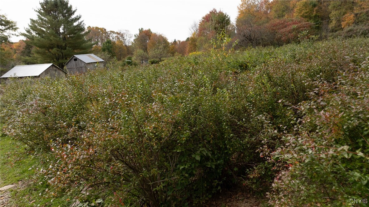 181 Peraglie Road Jefferson, NY 12093 - Photo 13 of 36
