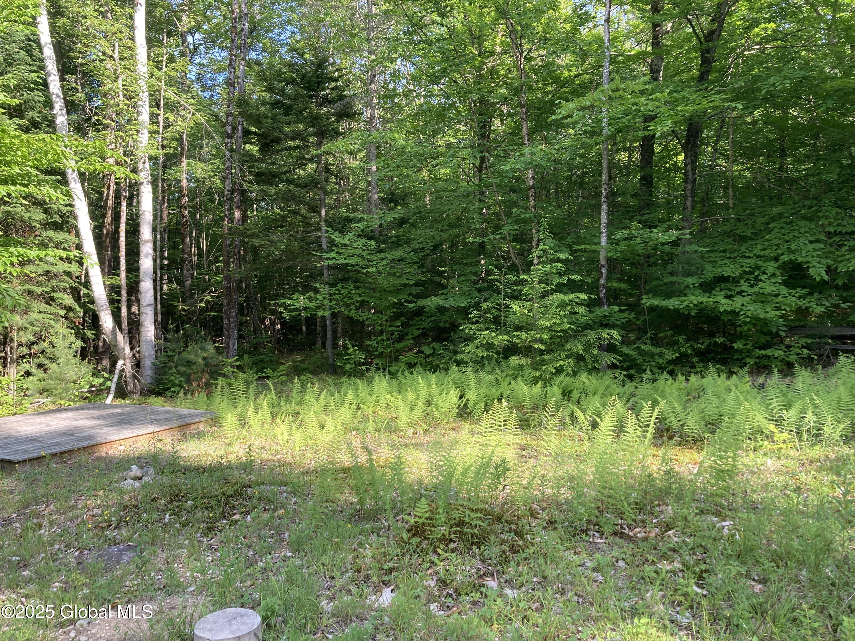 51 Sams Road Schroon, NY 12870 - Photo 6 of 19 IMG_8840