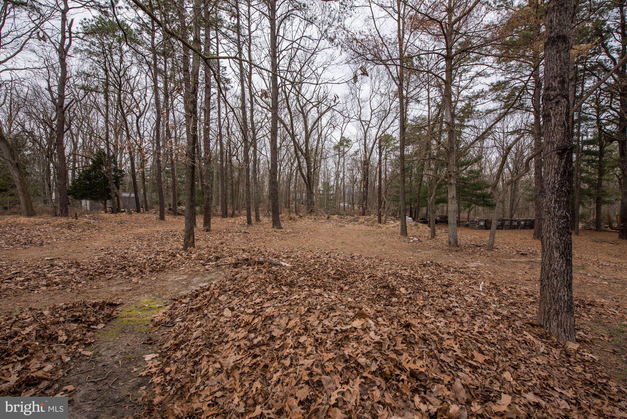 576 Hopewell Road Marlton, NJ 08053 - Photo 22 of 26 Additional property beyond the back fence