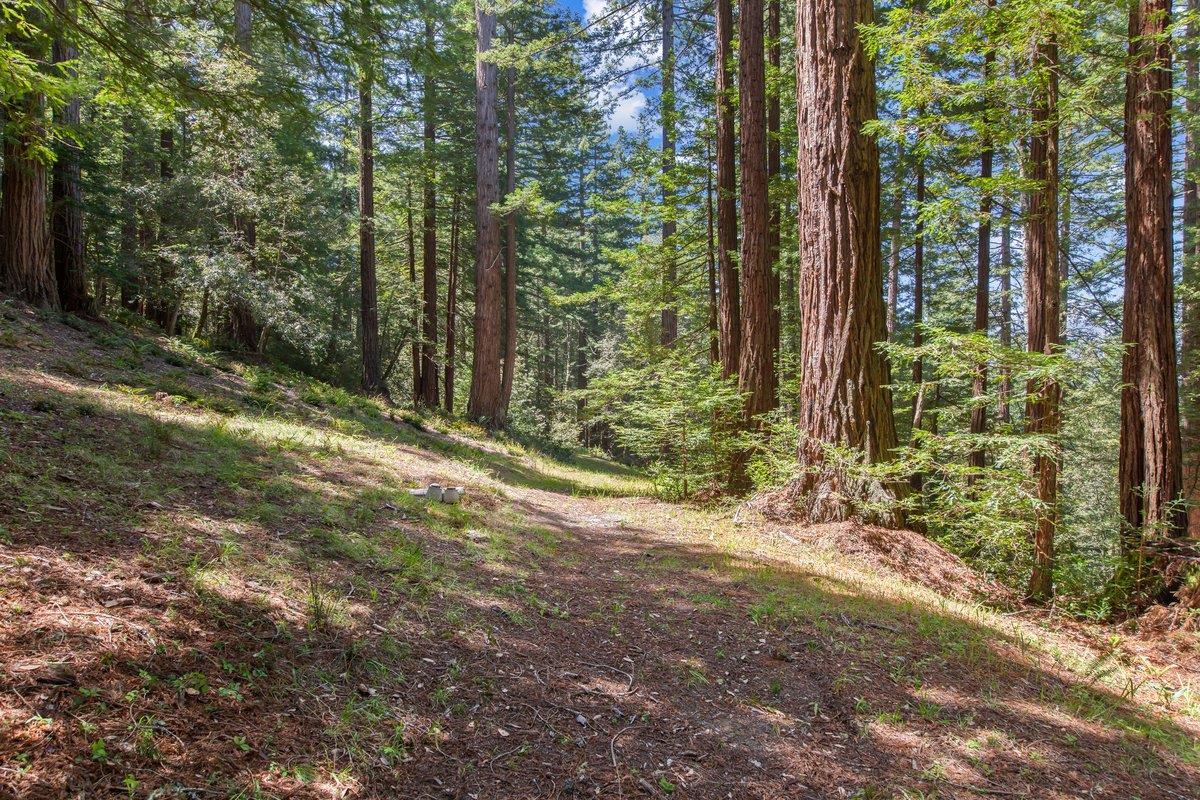0 Native Sons Road Redwood City, CA 94062 - Photo 15 of 28