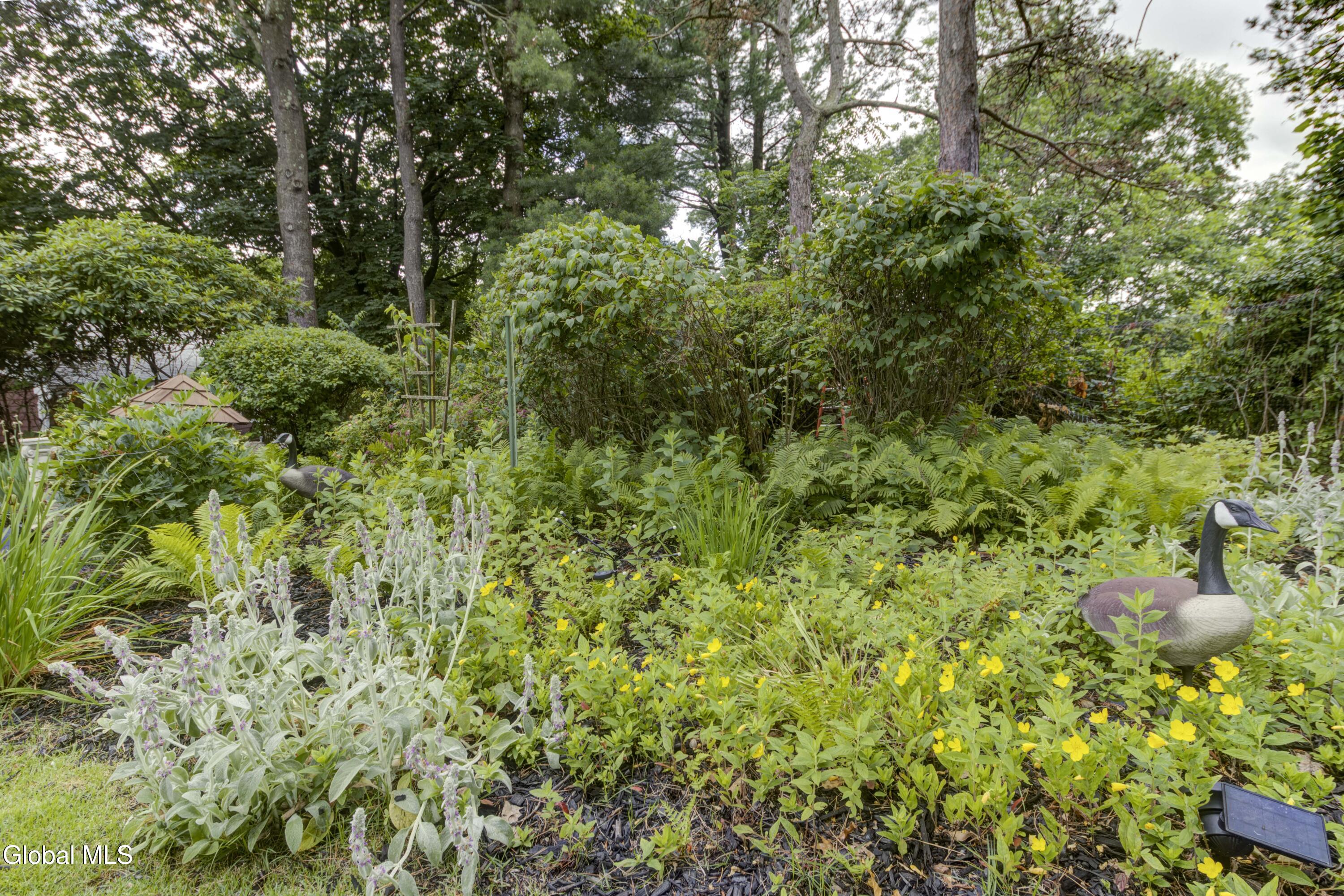 43 E Road Brunswick, NY 12180 - Photo 54 of 54 43 East Rd-14